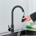 Midnight DualStream Single-Handle Pull-Out Kitchen Faucet with Hot/Cold Water Control