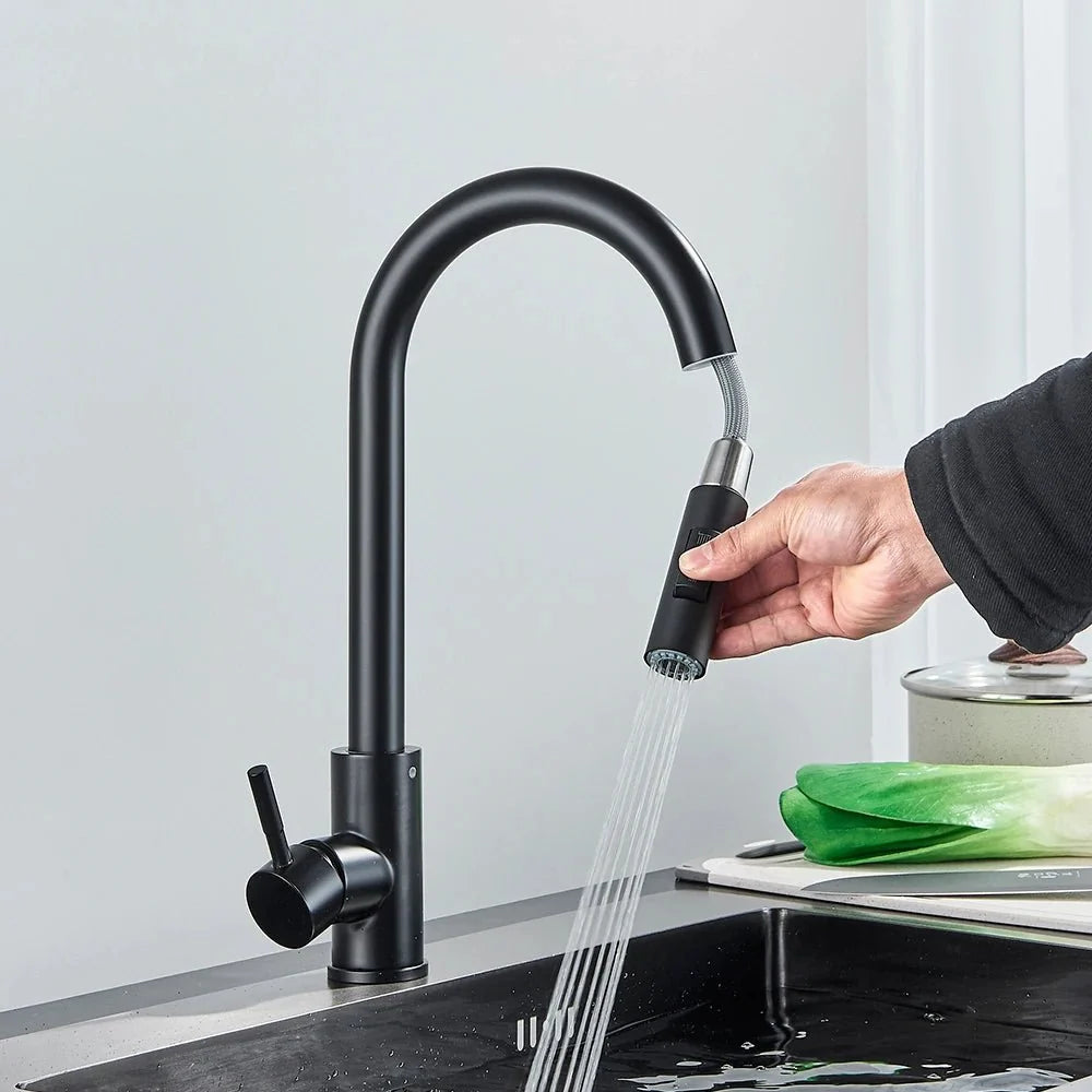 Midnight DualStream Single-Handle Pull-Out Kitchen Faucet with Hot/Cold Water Control