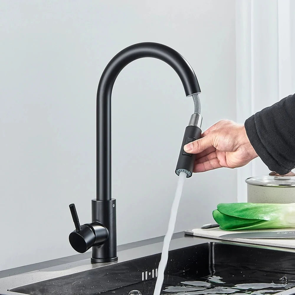 Midnight DualStream Single-Handle Pull-Out Kitchen Faucet with Hot/Cold Water Control