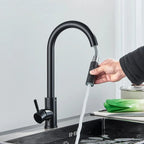 Midnight DualStream Single-Handle Pull-Out Kitchen Faucet with Hot/Cold Water Control