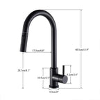 Midnight DualStream Single-Handle Pull-Out Kitchen Faucet with Hot/Cold Water Control