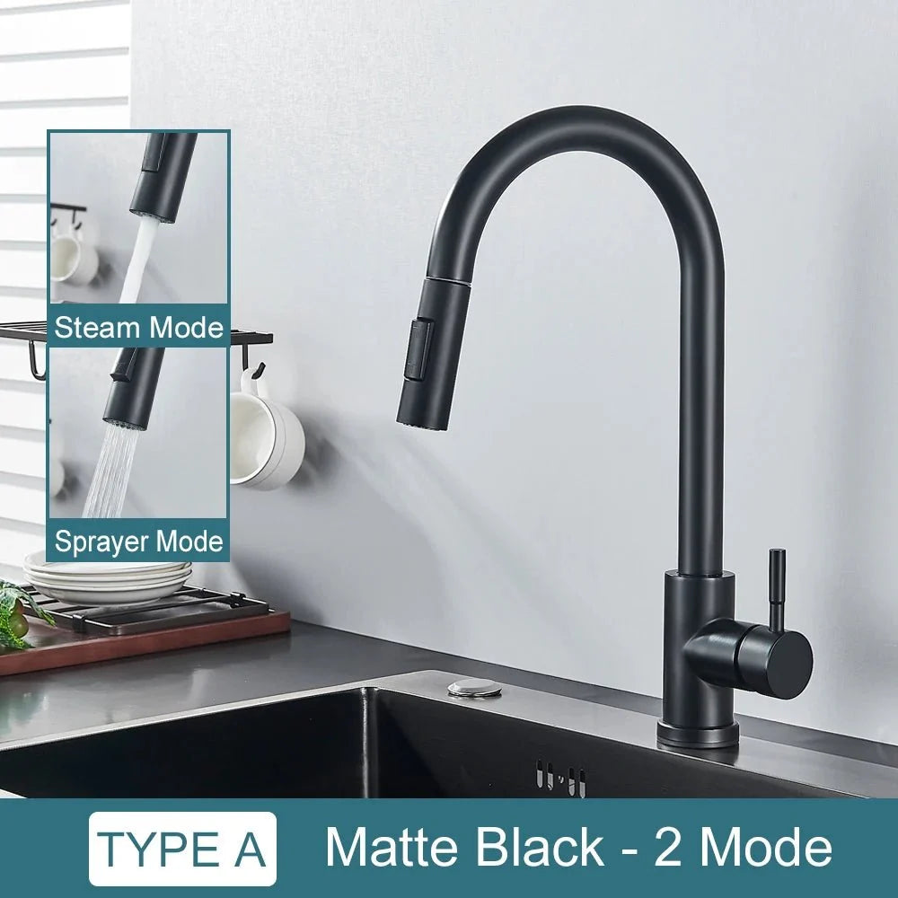 Midnight DualStream Single-Handle Pull-Out Kitchen Faucet with Hot/Cold Water Control