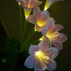 LilyGlow™ – Lampioni solari da giardino a luce bianca calda